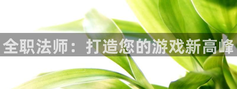 大神28计划：全职法师：打造您的游戏新高峰