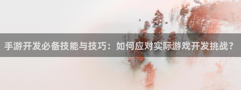 大神28开奖结果查询：手游开发必备技能与技巧：如何应对实际游