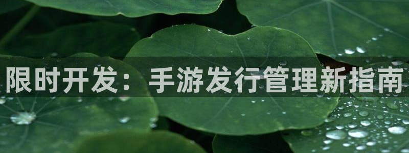 28大神官方下载ios：限时开发：手游发行管理新指南