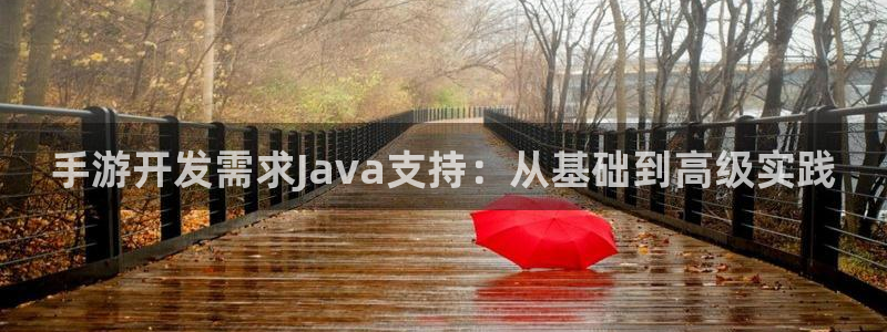 大神吧论坛28算法：手游开发需求Java支持：从基础到高级实