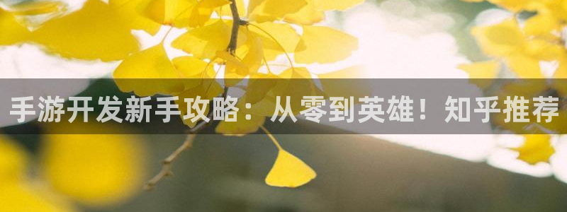 大神吧论坛28算法：手游开发新手攻略：从零到英雄！知乎推荐