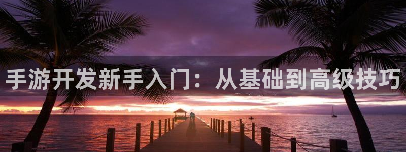 大神28分分预测：手游开发新手入门：从基础到高级技巧