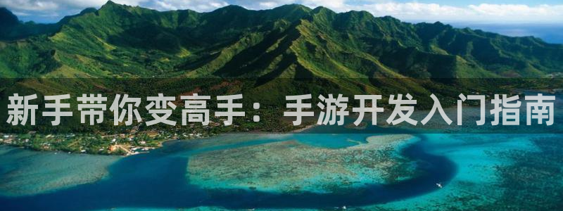 28加拿大大神预测：新手带你变高手：手游开发入门指南