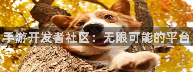 pc28开奖网站大神：手游开发者社区：无限可能的平台