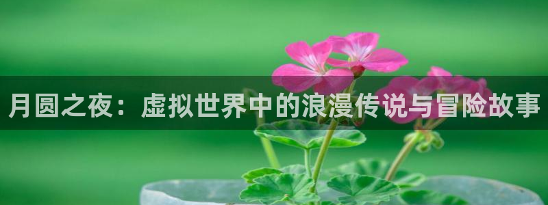 28大神app下载苹果：月圆之夜：虚拟世界中的浪漫传说与冒险