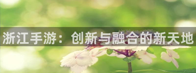 大神28网页开不了怎么回事：浙江手游：创新与融合的新天地