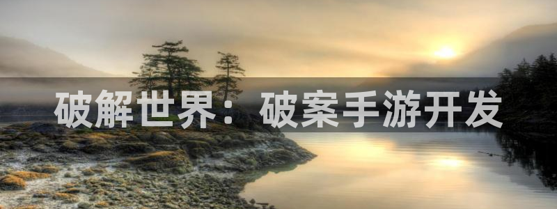 大神28预测官网：破解世界：破案手游开发