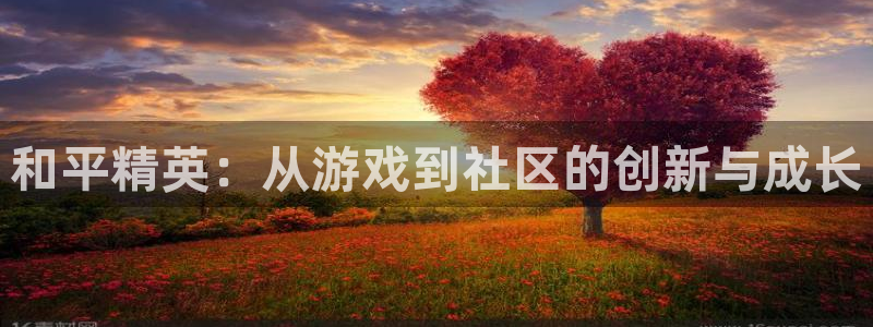 28大神算法公式：和平精英：从游戏到社区的创新与成长