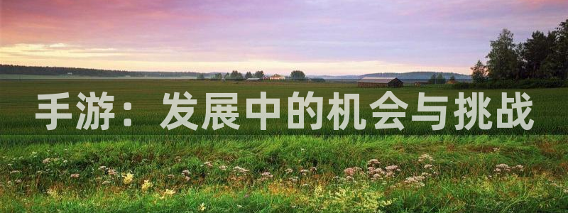 28大神怎么用不了：手游：发展中的机会与挑战